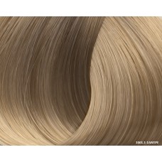 Beauty Color Super Blonds