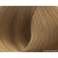 Beauty Color Super Blonds