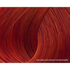 Beauty Color Supreme Reds