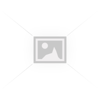 DREAM NAILS 3D SLIDER & F 078 GOLD